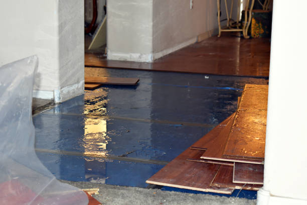 Professional Sewage Cleanup technician working in Crystal, MI
